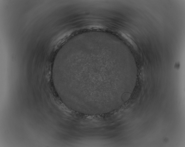 X0000090621015200707311239