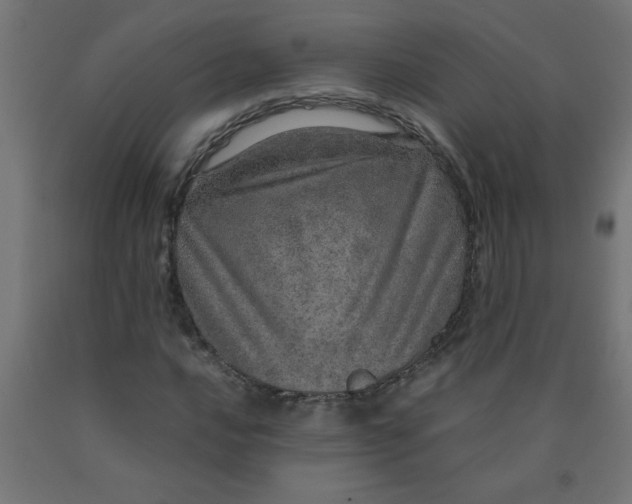 X0000090621016200707311239