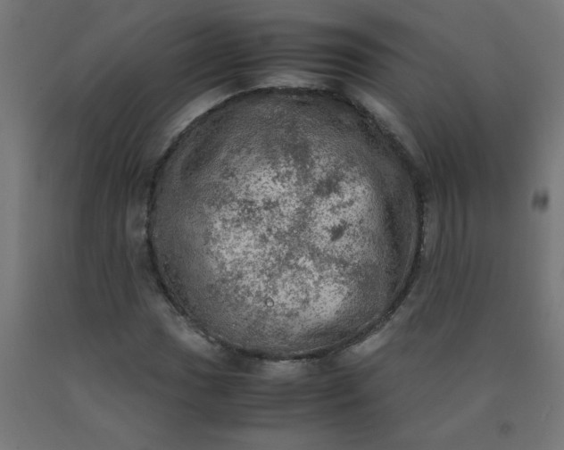 X0000090621017200707311239