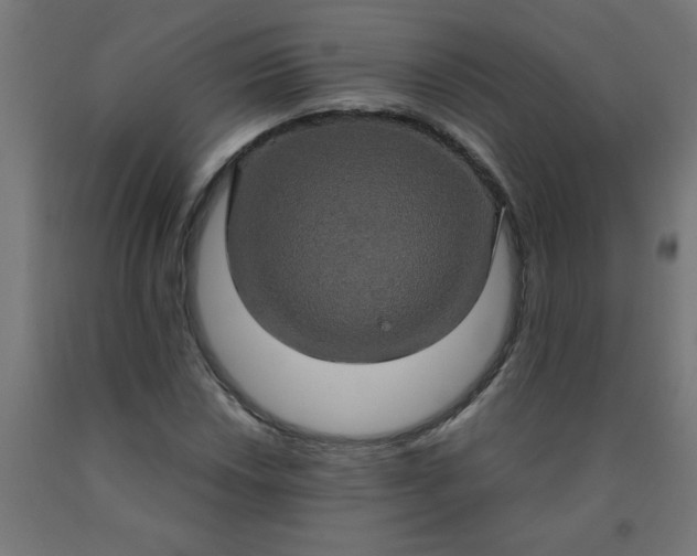 X0000090621018200707311239