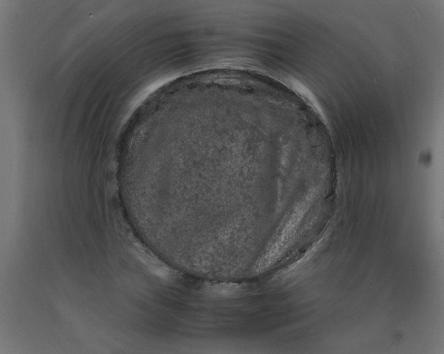 X0000090621019200707311239