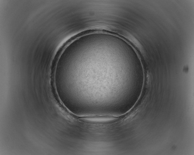 X0000090621020200707311239
