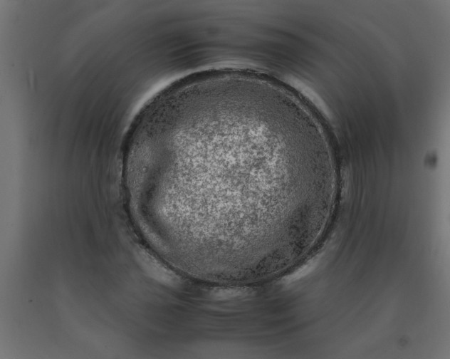 X0000090621021200707311239