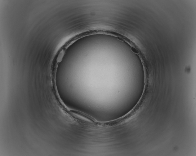 X0000090621022200707311239
