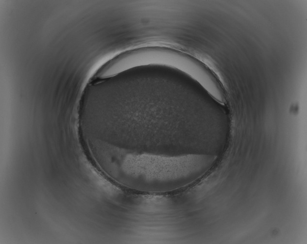 X0000090621024200707311239