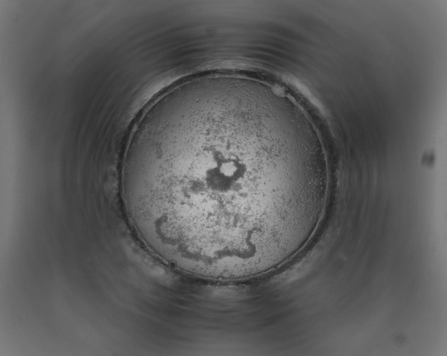 X0000090621025200707311239