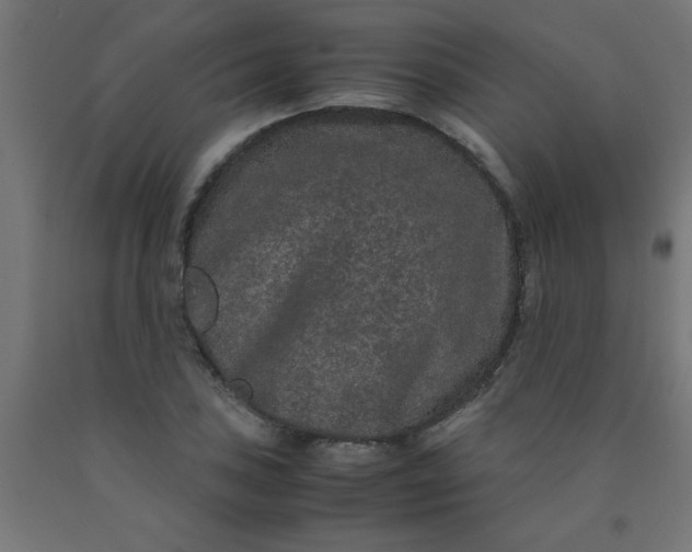 X0000090621027200707311239