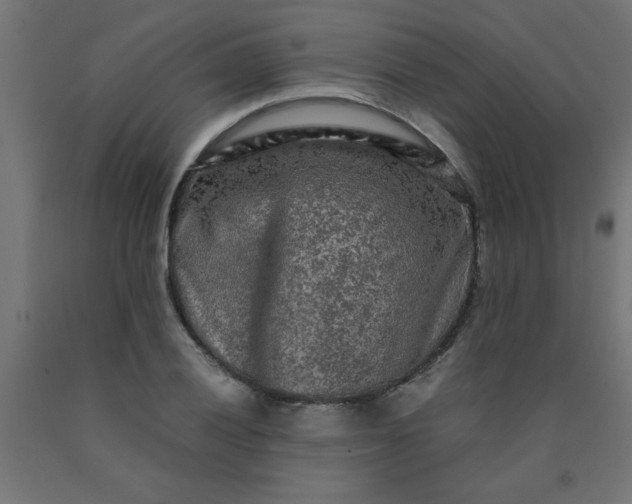 X0000090621028200707311239