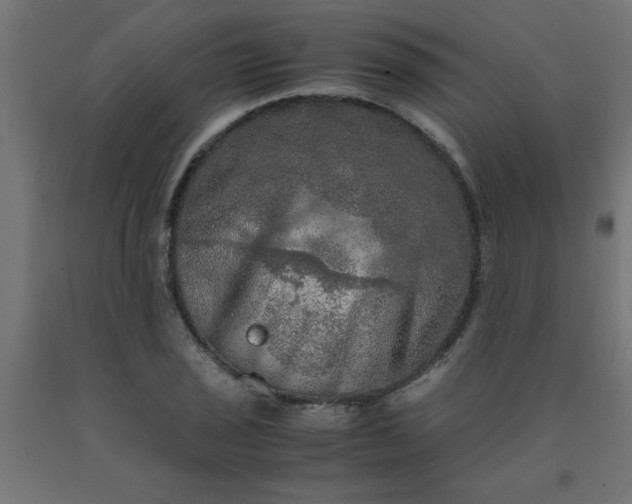 X0000090621029200707311239