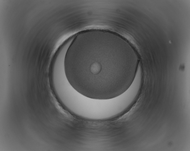 X0000090621030200707311239