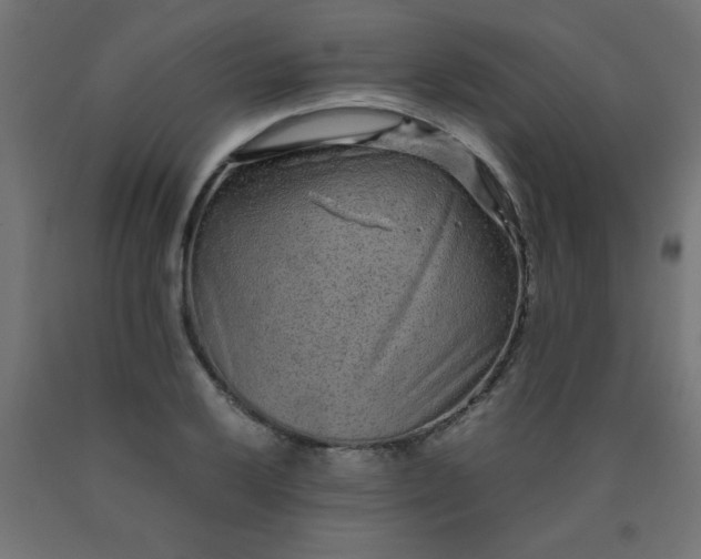 X0000090621032200707311239