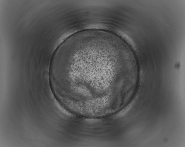 X0000090621033200707311239