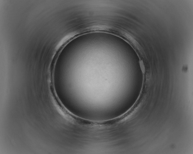 X0000090621034200707311239