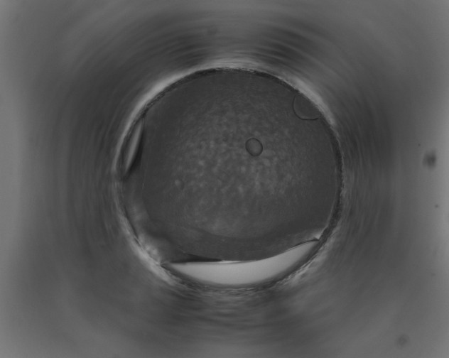 X0000090621037200707311239