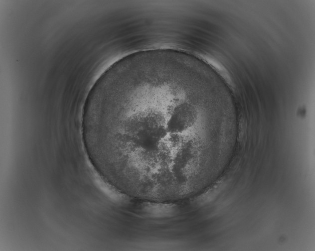X0000090621039200707311240