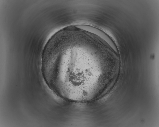 X0000090621040200707311240