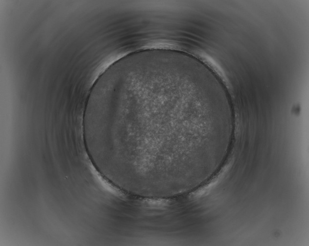 X0000090621041200707311240