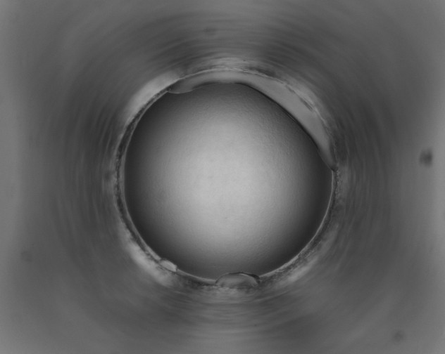 X0000090621042200707311240
