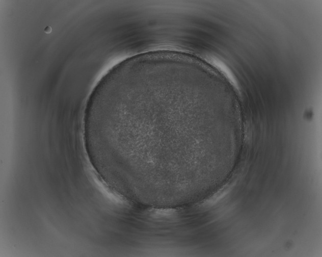 X0000090621043200707311240