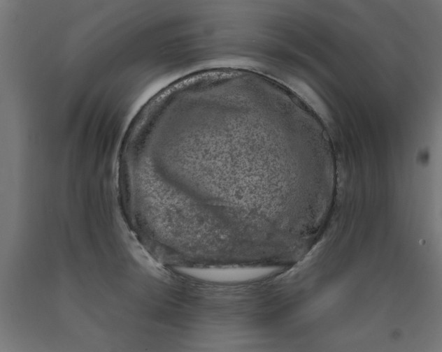X0000090621044200707311240