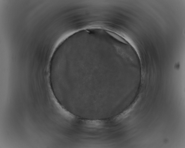 X0000090621045200707311240