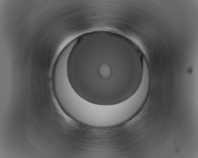 X0000090621046200707311240