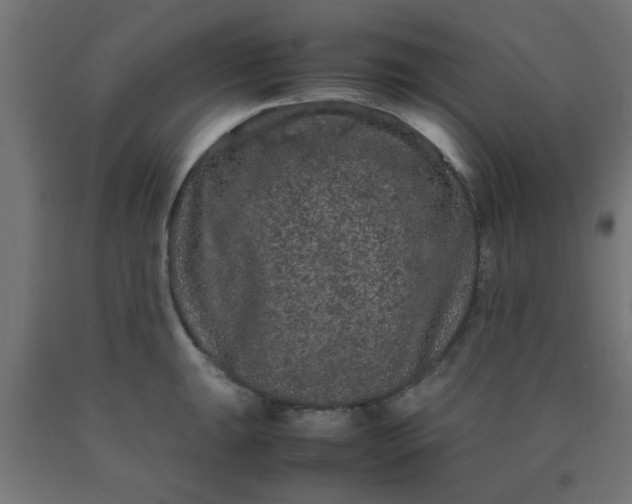 X0000090621047200707311240