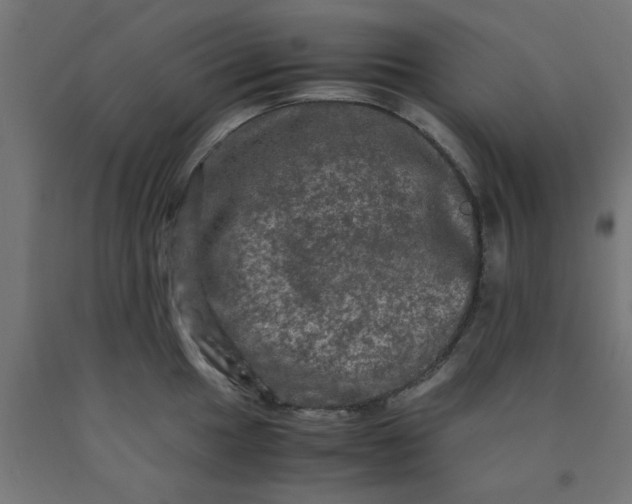 X0000090621049200707311240