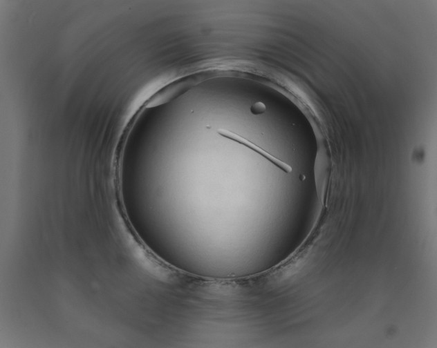 X0000090621050200707311240