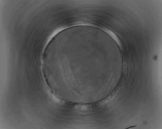 X0000090621051200707311240