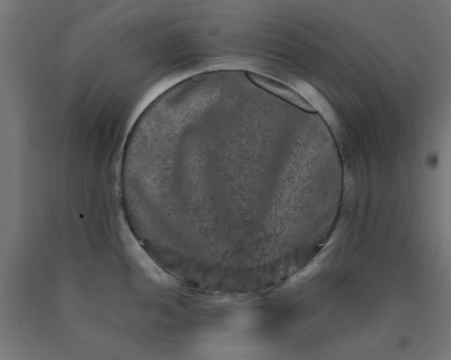 X0000090621052200707311240