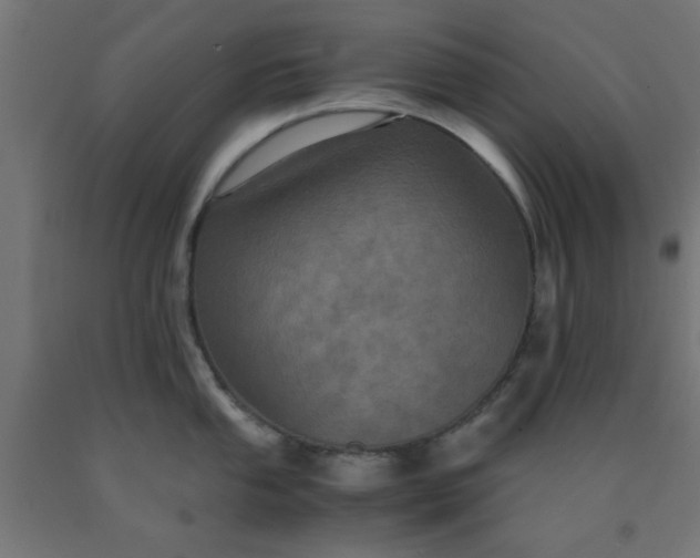 X0000090621053200707311240