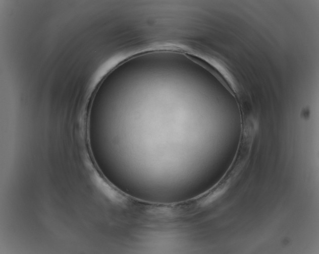 X0000090621054200707311240