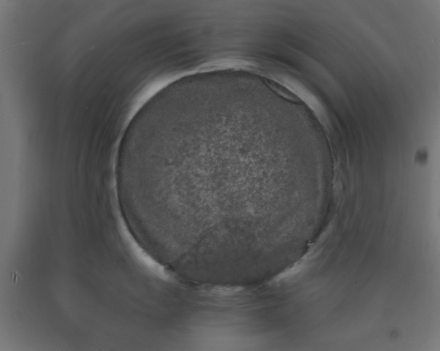 X0000090621055200707311240
