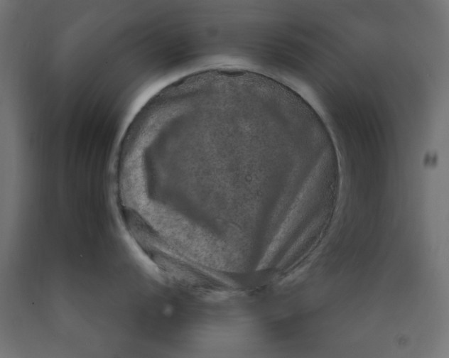 X0000090621056200707311240