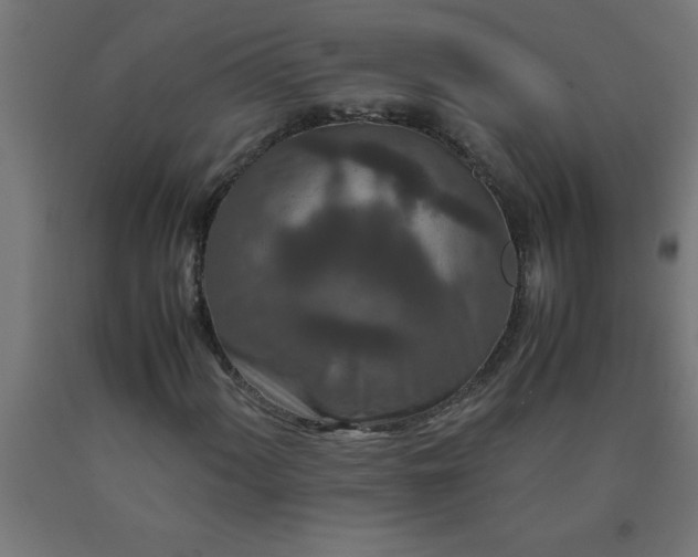X0000090621060200707311239