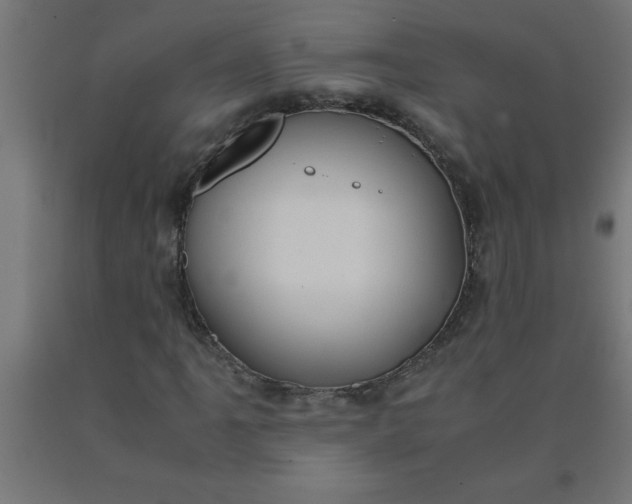 X0000090621061200707311239