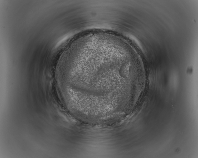 X0000090621064200707311239
