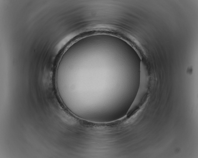 X0000090621066200707311239
