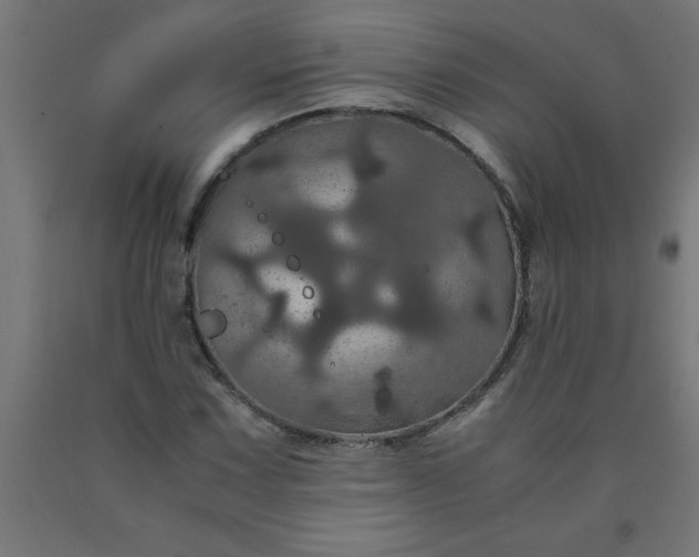 X0000090621067200707311239