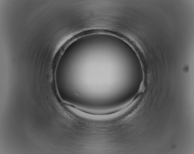 X0000090621069200707311239
