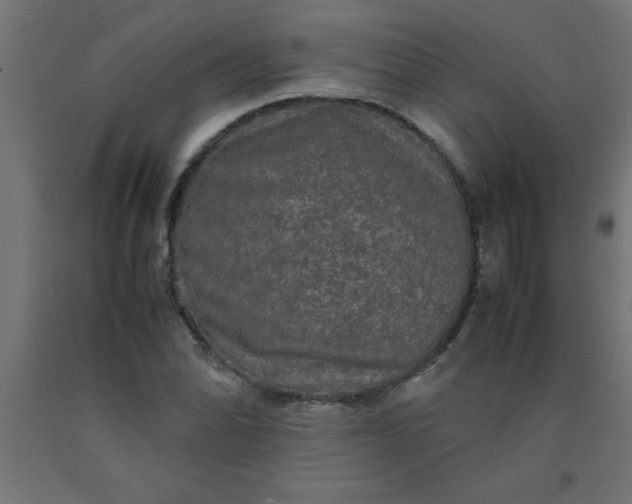 X0000090621070200707311239