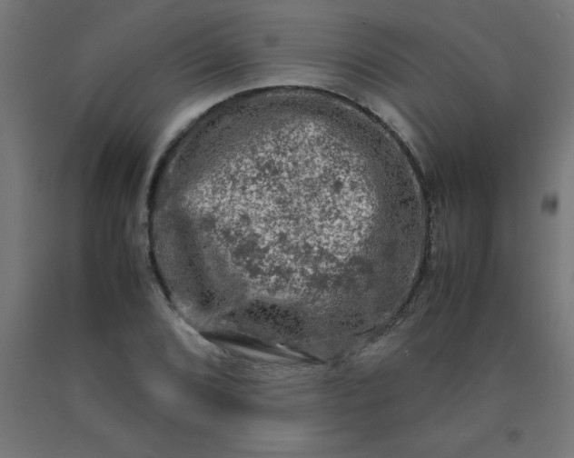 X0000090621072200707311239
