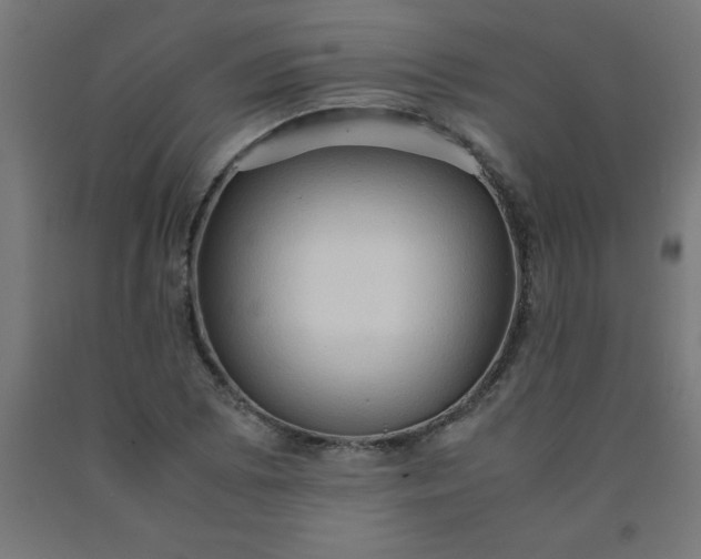 X0000090621073200707311239