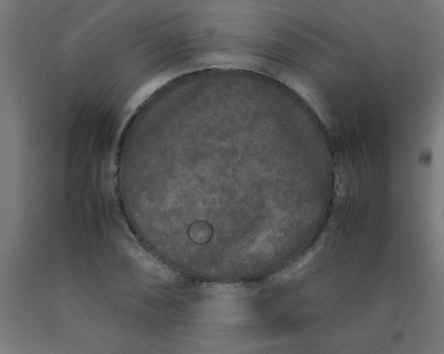 X0000090621074200707311239