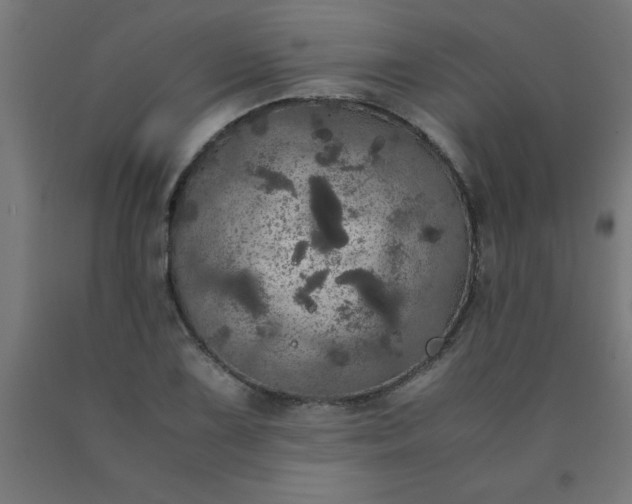 X0000090621075200707311239