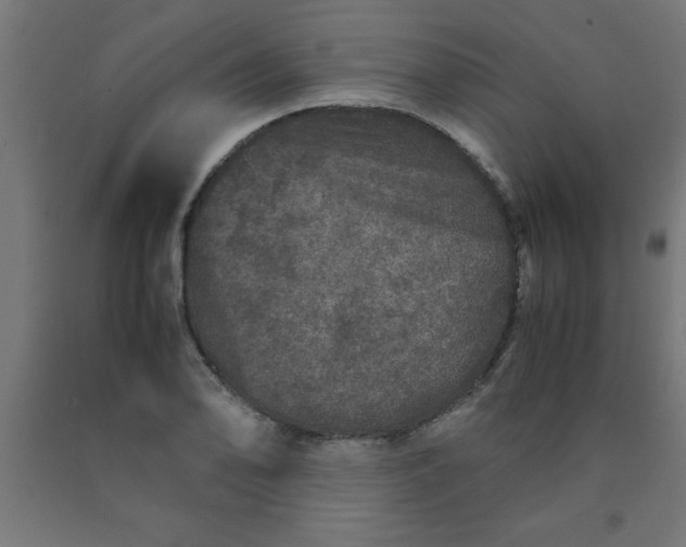 X0000090621078200707311239