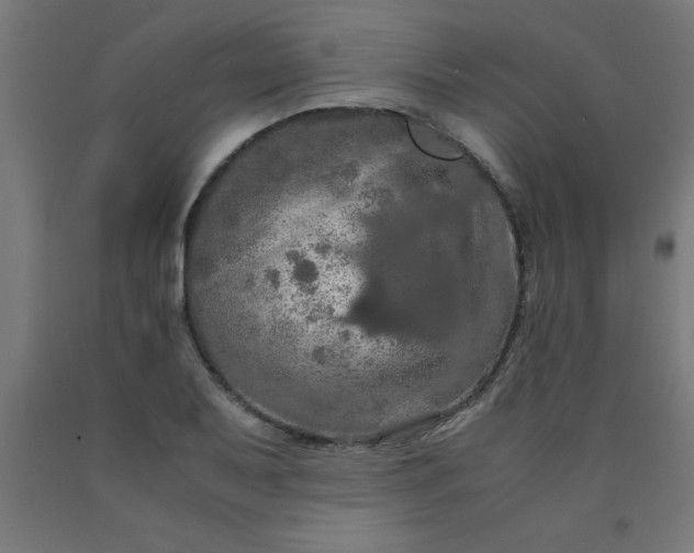 X0000090621079200707311239