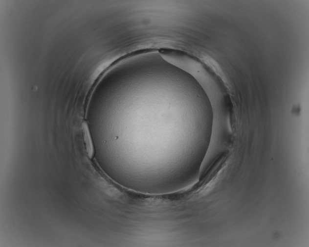 X0000090621081200707311239