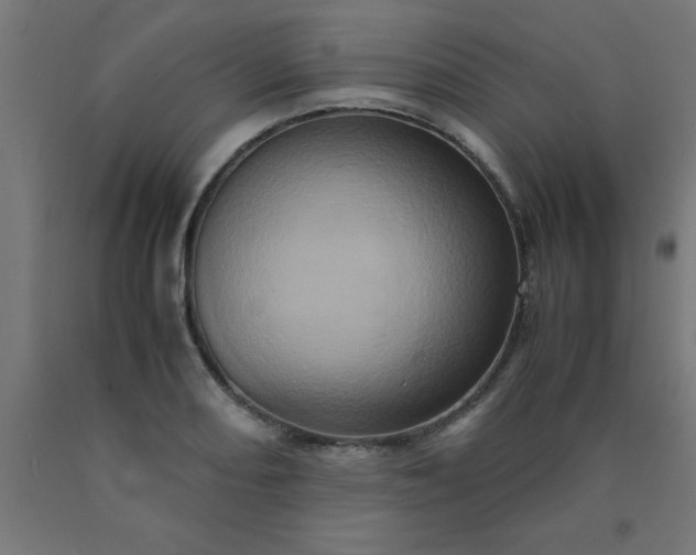 X0000090621082200707311239